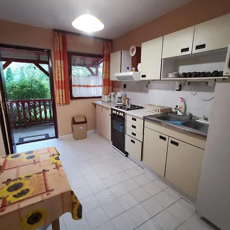 Erika Vendeghaz Centrumban